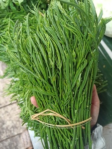 泰国吃播云南野菜臭菜新鲜蔬菜帕哈羽叶金合欢250克,任选4件包邮