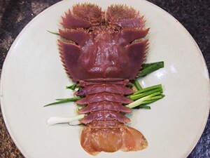 琵琶虾鲜活九齿