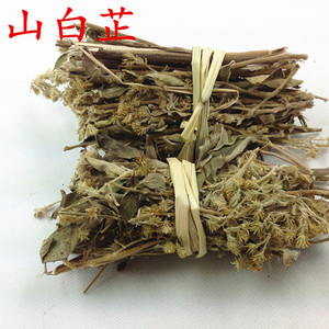 882人付款淘宝野生山白芷白面风白牛胆 毛老虎 土白