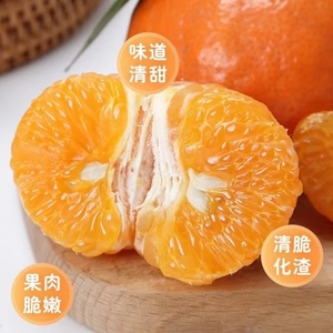 新鲜马克斗孕妇水果晚熟应季柑橘桔子基地皮薄汁多非沃柑四川特产