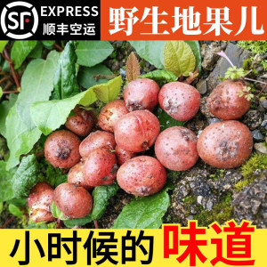 四川野生地枇杷地果儿新鲜水果1斤 带泥地泡野地瓜地石榴顺丰包邮