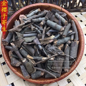 金樱子寄生 广西野生中药材 刺梨子寄生 金樱藤寄生 金樱子树寄生