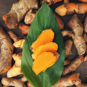 广西小黄姜现挖新鲜黄姜特产月子姜黄染色药用姜包邮野生生姜姜黄