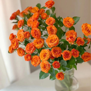 橙色芭比鲜花云南直发香水百合昆明基地玫瑰花向日葵生日花束水养