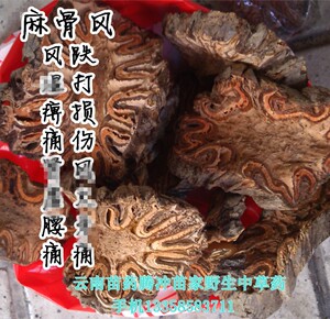 麻骨风中药