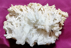 天然溶洞碳酸钙结晶钟乳石 松花珊瑚花活化石矿物摆件奇石观赏s11