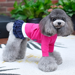 一阅心田泰迪狗狗衣服撞色连衣裙比熊小型犬休闲宠物狗衣服裙子