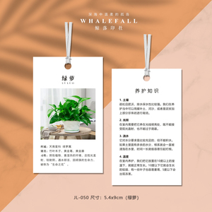 绿植养护吊牌通用 绿萝蝴蝶兰幸福树保养吊卡挂牌温馨提示种植卡