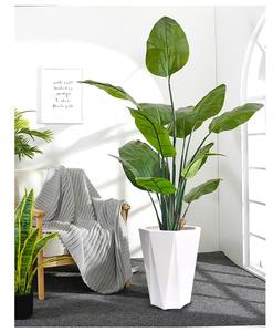 天堂鸟专用花盆北欧风ins轻奢风落地大号金钱树虎皮兰大型植物盆