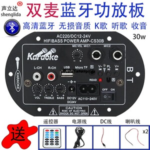 带话筒的蓝牙功放板