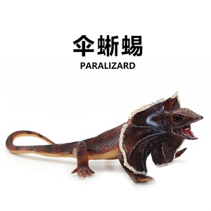 仿真爬行动物模型儿童认知伞蜥公仔实心塑料蜥蜴摆件伞蜥蜴玩具