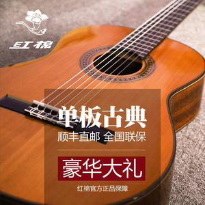 Kapok红棉古典 C11/C31/C41 单板吉他36寸39寸考级推荐乐器电箱
