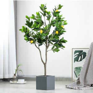 柠檬树装饰摆件