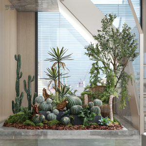 仿真植物仙人掌造景装饰仙人球摆件室内绿植景观橱窗落地盆景摆设
