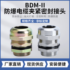 BDM-II防爆电缆夹紧密封接头304不锈钢/黄铜接头规格齐全支持定制