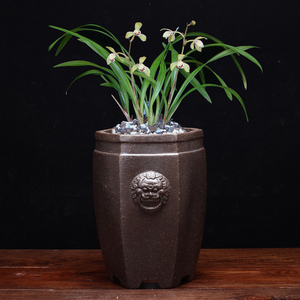 紫砂兰花盆精品家用简约陶瓷桌面花卉绿植地面盆景盆君子兰中国风