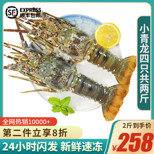 【两斤】新鲜小青龙虾海鲜水产大澳龙非鲜活速冻澳洲大龙虾大虾