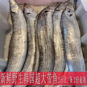 无货韩国带鱼新鲜ye生特级大2斤上台州海鲜水产鲜活油带超大整条