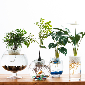 鱼缸小型桌面创意玻璃睡莲圆形水培植物金鱼缸一体水养家用造景10人