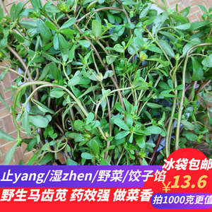 半边莲包邮野生新鲜