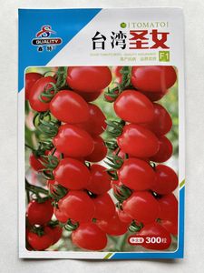 计仔--鑫特台湾圣女果 红色小番茄 小西红柿（原包装300粒）