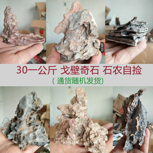 特价通货新疆戈壁石风砺石风凌石盆景1公斤30/5公斤包邮