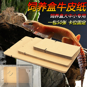 爬宠牛皮纸垫材吸水饲养盒配套垫纸守宫蜥蜴玩具蛇垫料纸巾宠物盒