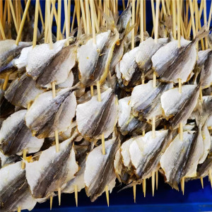 金钱鱼多味鱼干鱼片烧烤鱼串20串 户外bbq油炸半成品小吃食材包邮