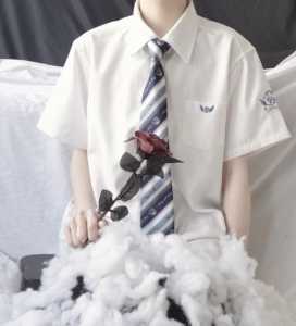 【星依初jk】衬衣夏季原创dk衬衫正统日系制服短袖班服白衬衣情侣