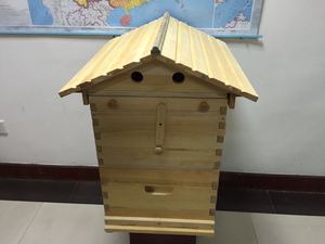 金圣宫自动流蜜蜂箱 养蜂 蜂具蜂蜜 深圳金圣宫