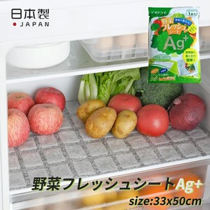 日本进口家用冰箱除味剂活性炭蔬果消臭保鲜垫可裁剪银离子除臭垫