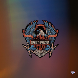 tlp反光车贴 哈雷传奇机车摩托车队标雄鹰老鹰闪电1903防水贴纸