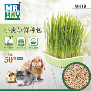 包邮 新品上市 MR MAY 草先生 小麦草鲜种包 MH18 兔兔 龙猫