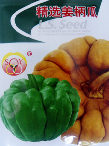 正宗云南姜柄瓜种子姜饼瓜丫丫瓜籽10克约85粒秋季播酥甜大田用种