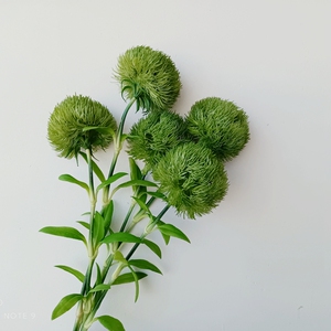 绿石竹超逼真手感仿真花家居装饰摆放花插花摆件摄影道具水培假花