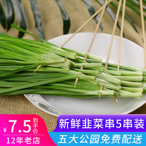 上海西北郎烧烤半成品烤串新鲜时令蔬菜农家蔬菜烧烤食材韭菜5串