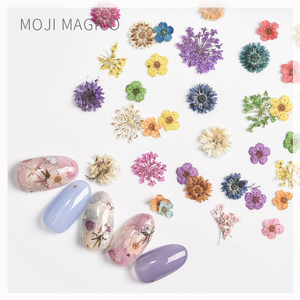 magico茉季日系小干花美甲饰品真花美甲店专用指甲装饰品混装贴纸