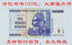 津巴布韦100亿大面额真币纸币万亿货币外国钱币硬币外币收藏