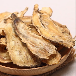 圆叶当归单方精油