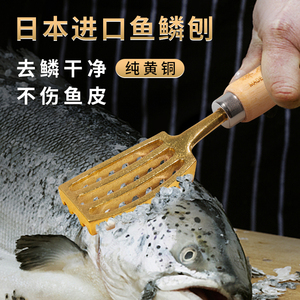 日本进口鱼鳞刨刮鱼鳞神器家用杀鱼去除鱼鳞专用刷子打鱼鳞刀工具