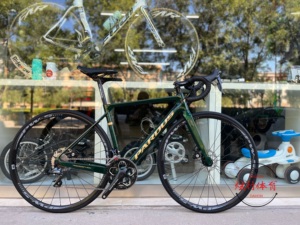 瑞豹知更鸟新款涂装 碳纤维车架 sora 套件 舒适性坐垫 白金涂装