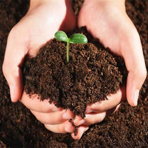 营养土泥碳土 专家配置栽培花土种植种菜土 有机基质泥土特价