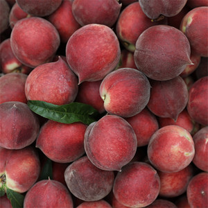 90思佳果旗舰店天猫正宗广东连平上坪鹰嘴桃河源蜜桃新鲜孕妇水果