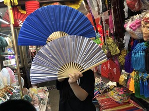 金银扇木兰扇太极扇功夫扇响扇表演扇应美凤老师用扇笑对人生6669