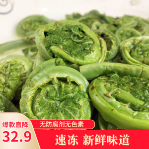 东北山野菜特产黄瓜香新鲜山菜速冻广东菜荚果蕨菜食用农产品2斤