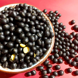 黑黄豆东北农家自种黑豆黑大豆打豆浆生豆芽21年新货非转基因大豆