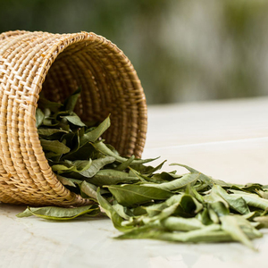 奶茶早安淘宝印度小厨干咖喱叶 调料九里香dry curry leaves 100g克