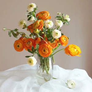 毛茛洋牡丹鲜花家用水养鲜切花材云南昆明基地直发瓶插花顺丰包邮