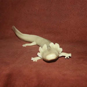 1212明明2121淘宝进口跳虫饲料白符红跳虫活体螳螂蜘蛛箭毒蛙蝾螈