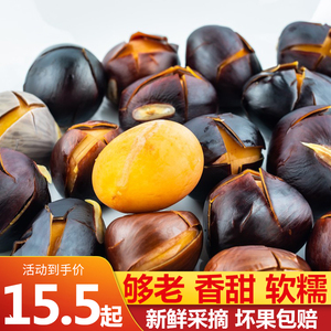 凤眼果新鲜萍婆现摘九层皮富贵子六旺广东特产当季稀罕水果不带荚